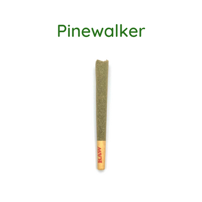 Pinewalker (CBDV) Preroll